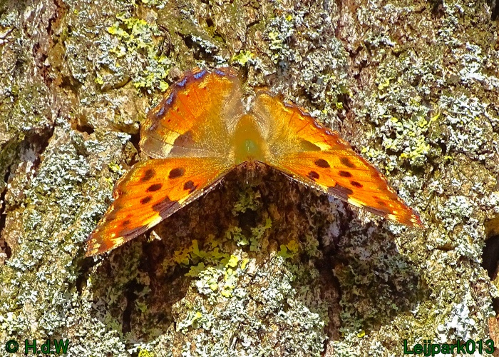 17 &amp; 18 &amp; 19 &amp; 20 maart 2024