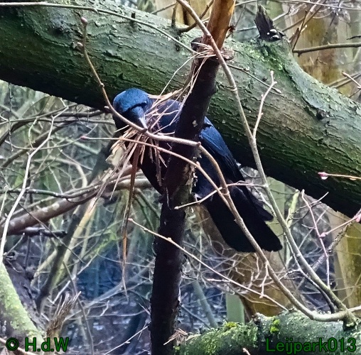 17 &amp; 18 &amp; 19 &amp; 20 maart 2024