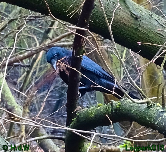 17 &amp; 18 &amp; 19 &amp; 20 maart 2024