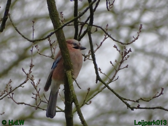 17 &amp; 18 &amp; 19 &amp; 20 maart 2024