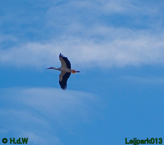 17 &amp; 18 &amp; 19 &amp; 20 maart 2024