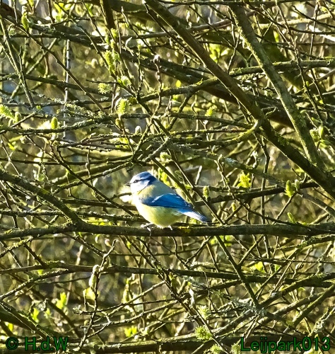 17 &amp; 18 &amp; 19 &amp; 20 maart 2024