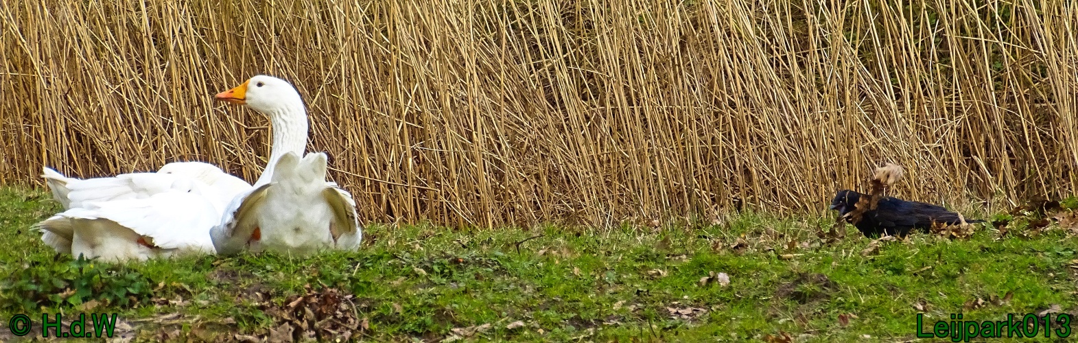 17 &amp; 18 &amp; 19 &amp; 20 maart 2024