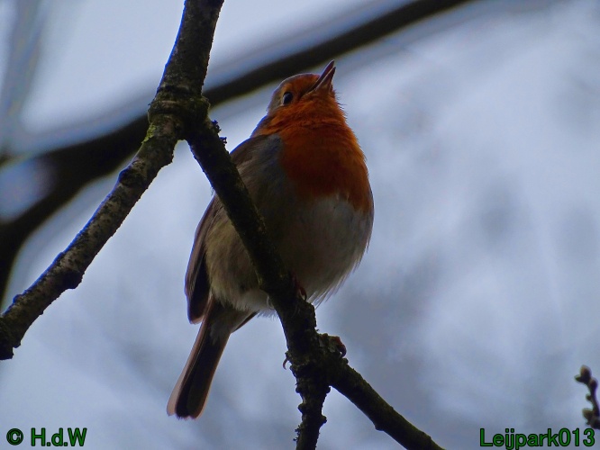 17 &amp; 18 &amp; 19 &amp; 20 maart 2024