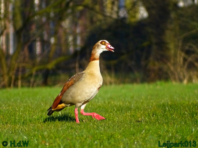 17 &amp; 18 &amp; 19 &amp; 20 maart 2024