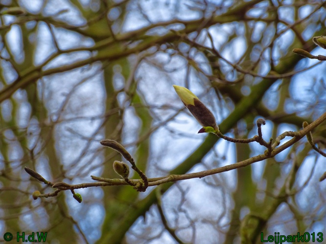 17 &amp; 18 &amp; 19 &amp; 20 maart 2024