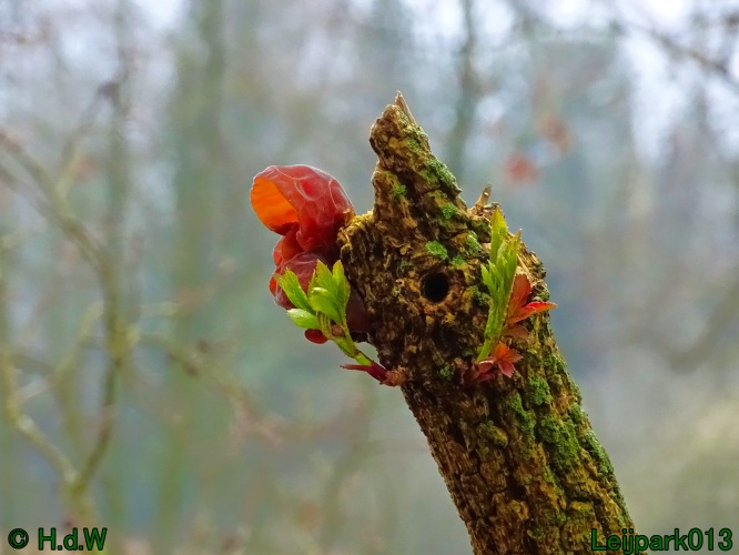 17 &amp; 18 &amp; 19 &amp; 20 maart 2024