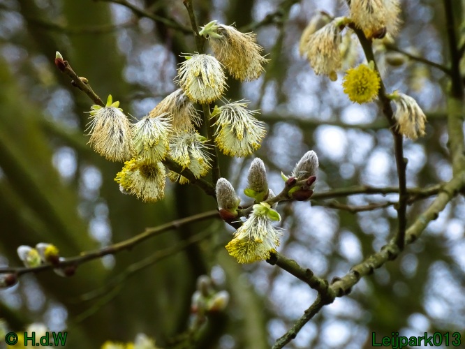 17 &amp; 18 &amp; 19 &amp; 20 maart 2024