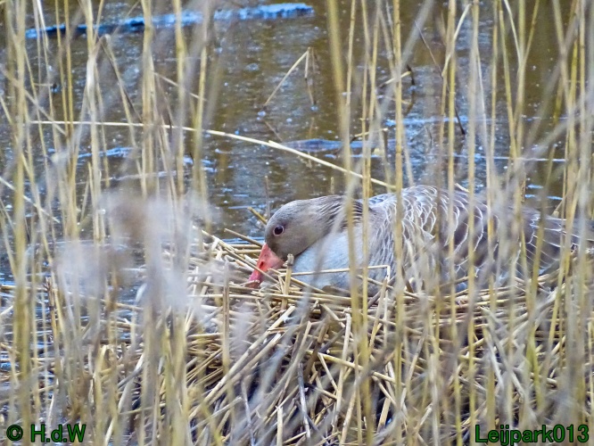 17 &amp; 18 &amp; 19 &amp; 20 maart 2024