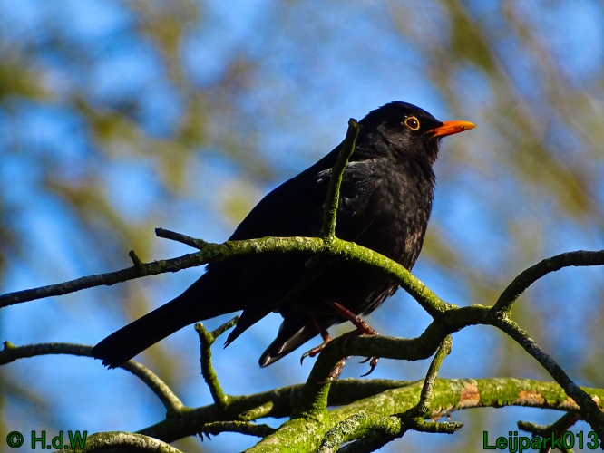 17 &amp; 18 &amp; 19 &amp; 20 maart 2024