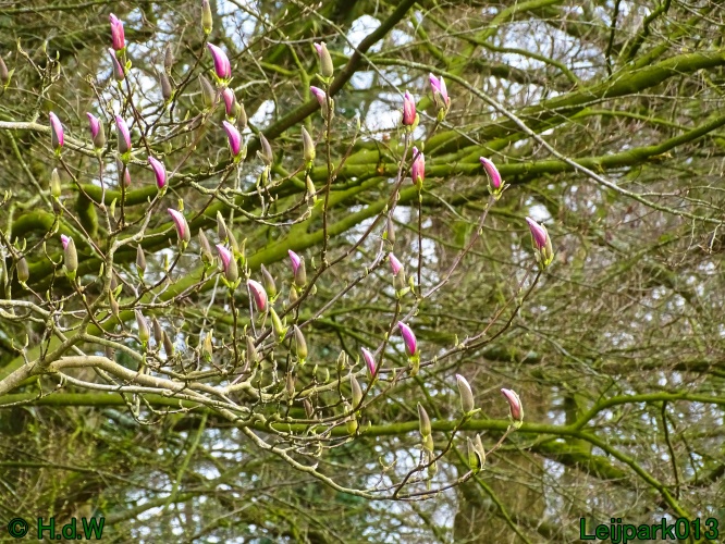 17 &amp; 18 &amp; 19 &amp; 20 maart 2024