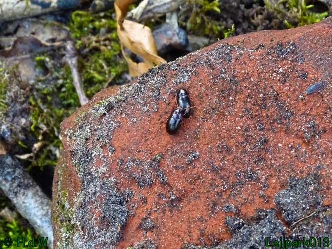 17 &amp; 18 &amp; 19 &amp; 20 maart 2024