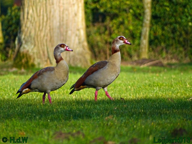 17 &amp; 18 &amp; 19 &amp; 20 maart 2024