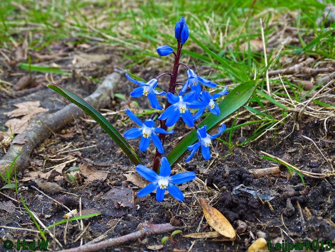 17 &amp; 18 &amp; 19 &amp; 20 maart 2024