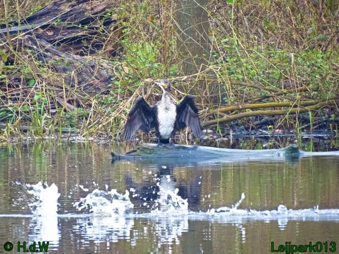 17 &amp; 18 &amp; 19 &amp; 20 maart 2024