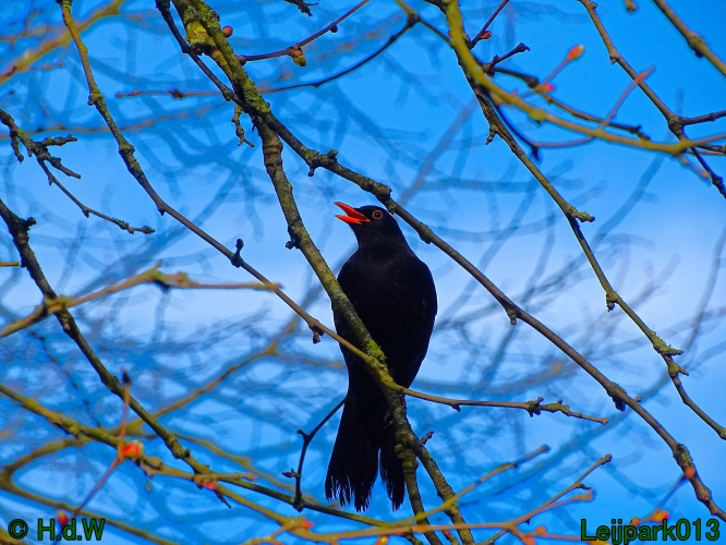 17 &amp; 18 &amp; 19 &amp; 20 maart 2024