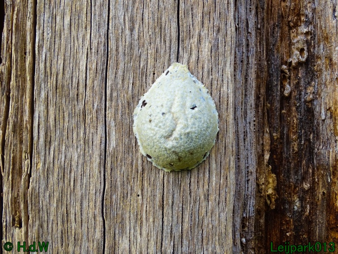 17 &amp; 18 &amp; 19 &amp; 20 maart 2024