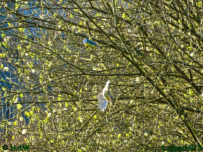 17 &amp; 18 &amp; 19 &amp; 20 maart 2024