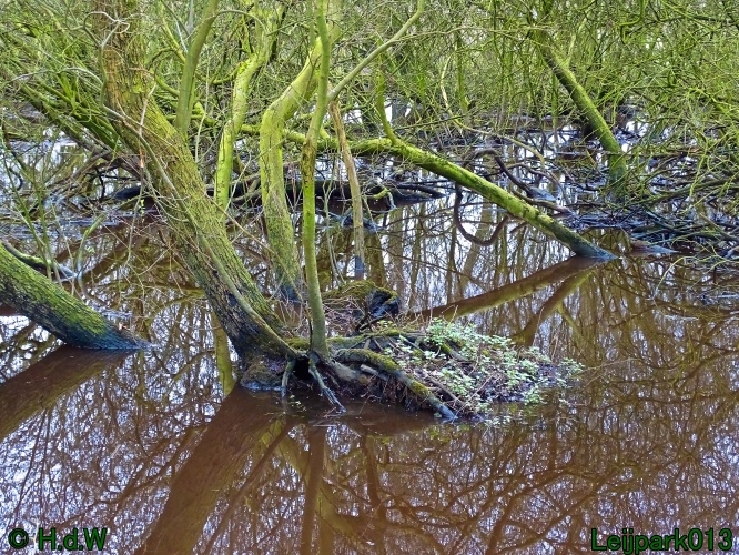 17 &amp; 18 &amp; 19 &amp; 20 maart 2024