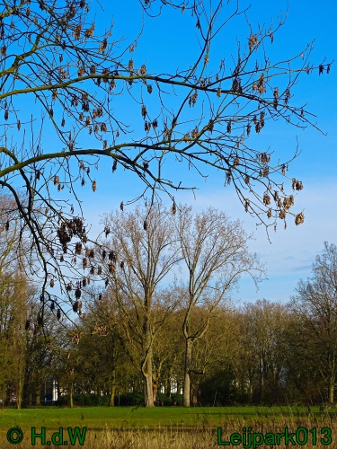 17 &amp; 18 &amp; 19 &amp; 20 maart 2024