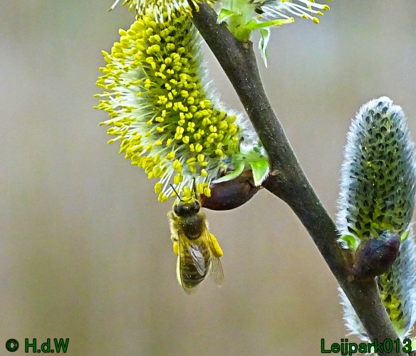 21 &amp; 22 &amp; 23 &amp; 24 maart 2024