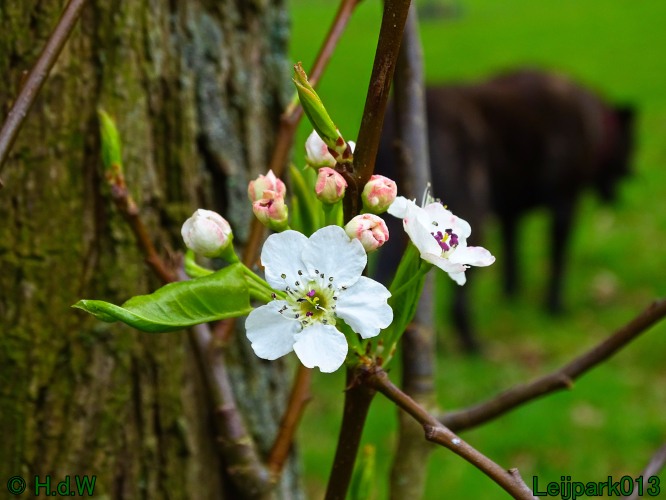 21 &amp; 22 &amp; 23 &amp; 24 maart 2024