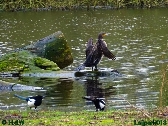 21 &amp; 22 &amp; 23 &amp; 24 maart 2024