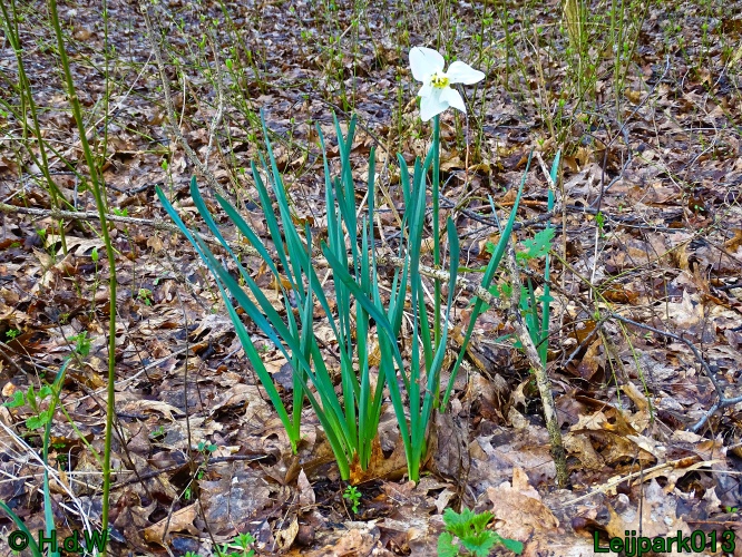 21 &amp; 22 &amp; 23 &amp; 24 maart 2024