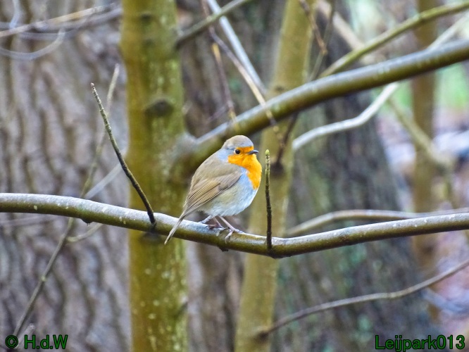 21 &amp; 22 &amp; 23 &amp; 24 maart 2024