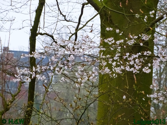 21 &amp; 22 &amp; 23 &amp; 24 maart 2024