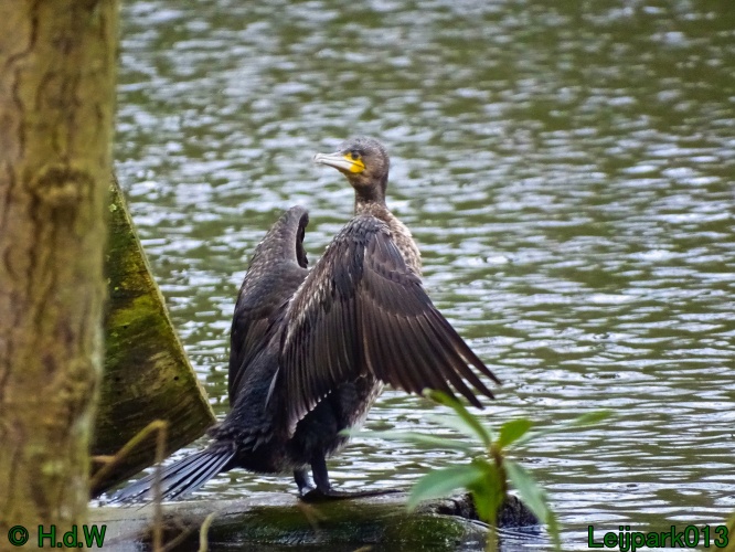 21 &amp; 22 &amp; 23 &amp; 24 maart 2024