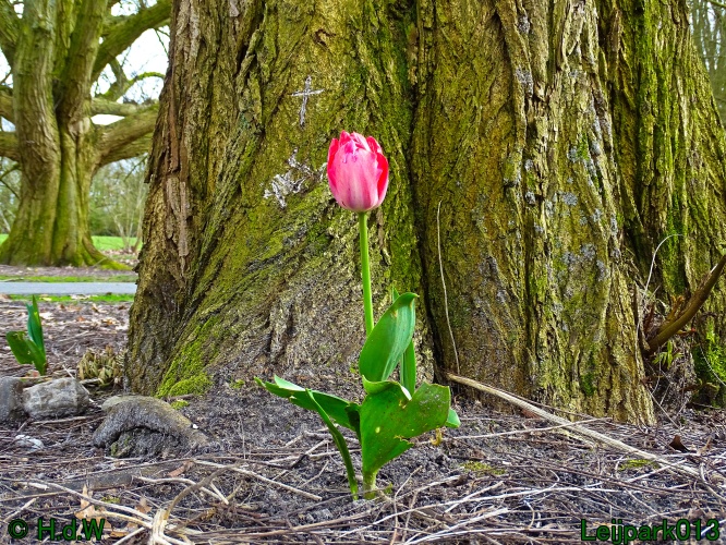 21 &amp; 22 &amp; 23 &amp; 24 maart 2024