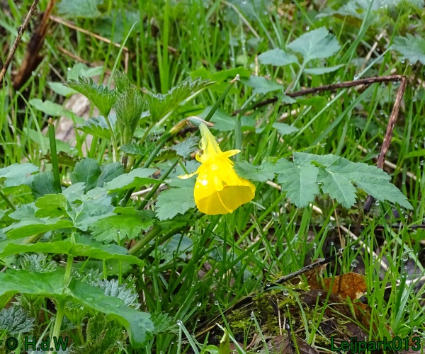 21 &amp; 22 &amp; 23 &amp; 24 maart 2024