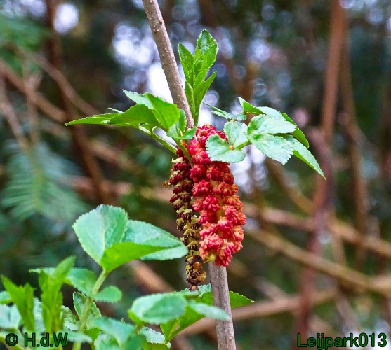 21 &amp; 22 &amp; 23 &amp; 24 maart 2024