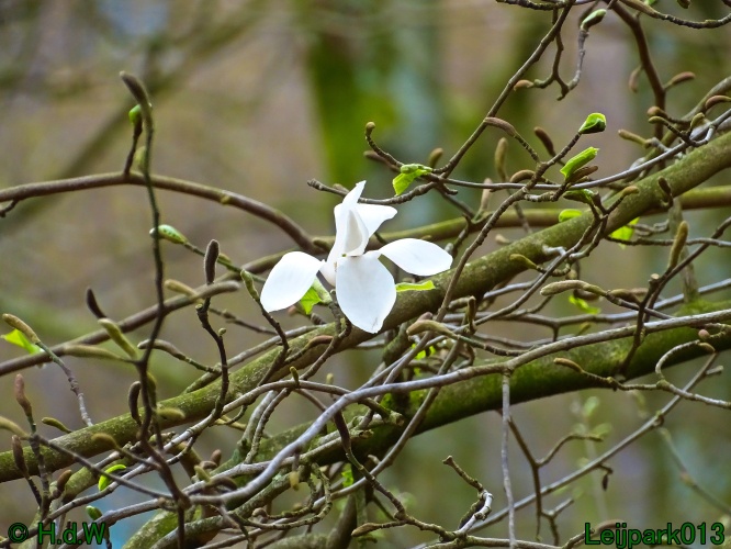 21 &amp; 22 &amp; 23 &amp; 24 maart 2024