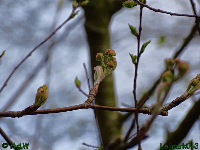 21 &amp; 22 &amp; 23 &amp; 24 maart 2024