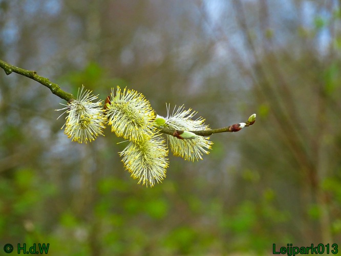 21 &amp; 22 &amp; 23 &amp; 24 maart 2024