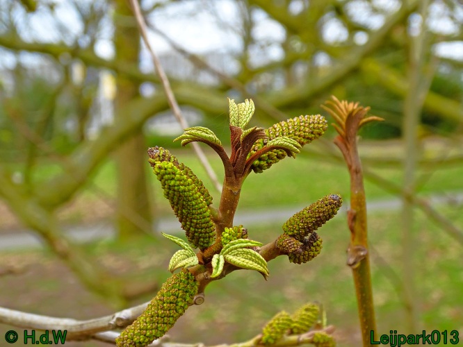 21 &amp; 22 &amp; 23 &amp; 24 maart 2024