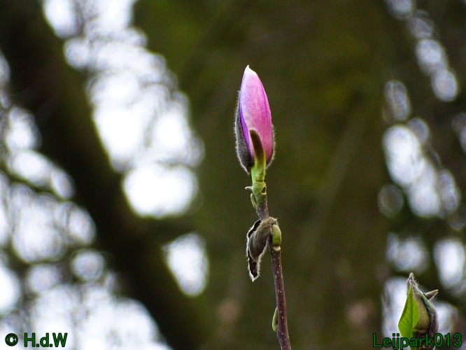 21 &amp; 22 &amp; 23 &amp; 24 maart 2024