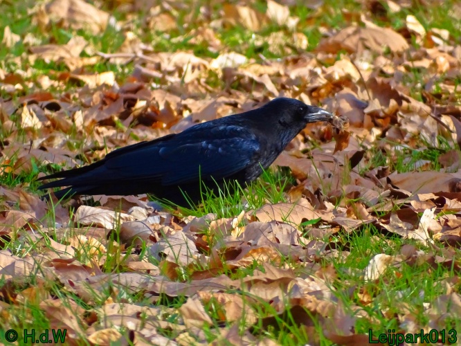 21 &amp; 22 &amp; 23 &amp; 24 maart 2024