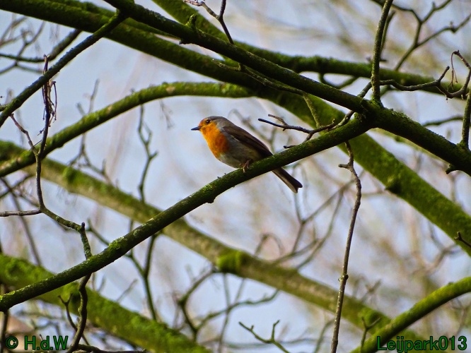 21 &amp; 22 &amp; 23 &amp; 24 maart 2024