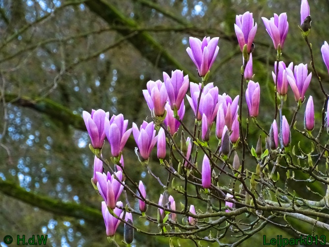 21 &amp; 22 &amp; 23 &amp; 24 maart 2024