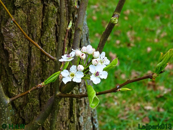 21 &amp; 22 &amp; 23 &amp; 24 maart 2024