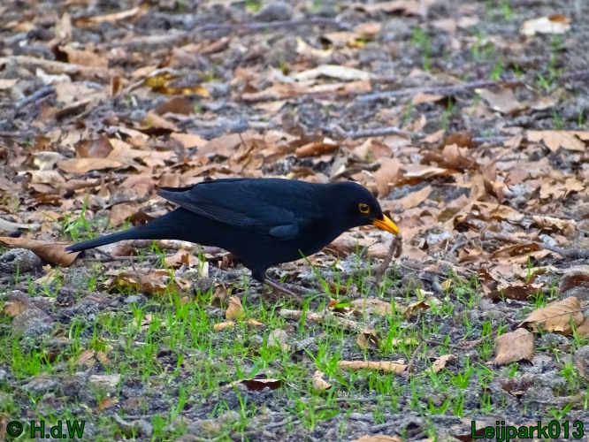 21 &amp; 22 &amp; 23 &amp; 24 maart 2024