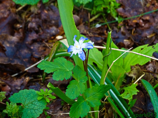 21 &amp; 22 &amp; 23 &amp; 24 maart 2024