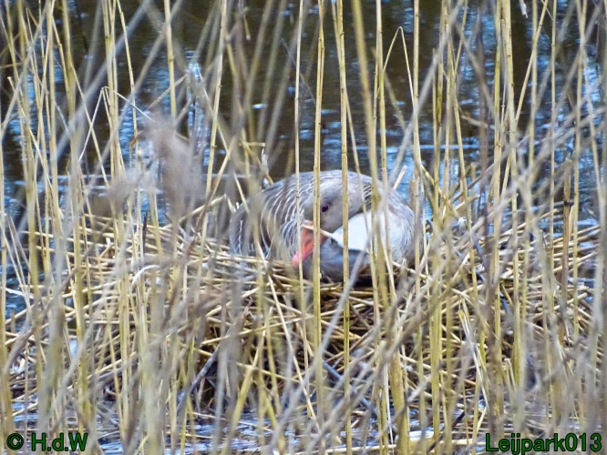 21 &amp; 22 &amp; 23 &amp; 24 maart 2024