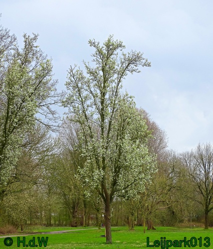 21 &amp; 22 &amp; 23 &amp; 24 maart 2024