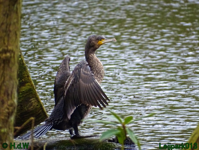 21 &amp; 22 &amp; 23 &amp; 24 maart 2024