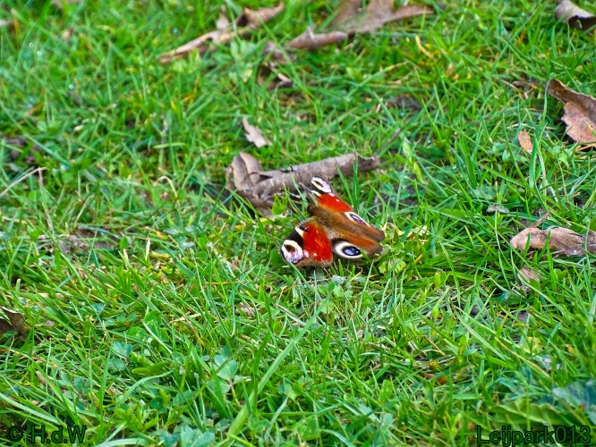 21 &amp; 22 &amp; 23 &amp; 24 maart 2024