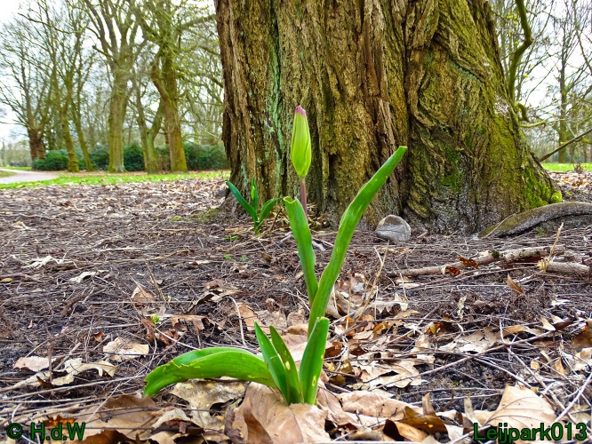 21 &amp; 22 &amp; 23 &amp; 24 maart 2024